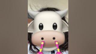 Cow on his bikinis be like ???? #memes #cowvideos