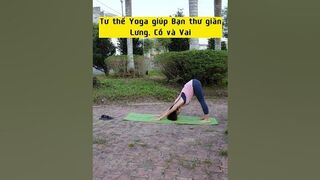 Tư thế Yoga giúp bạn thư giãn Lưng, Cổ và Vai #shorts