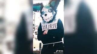 BEST Furry Tik Toks compilation 050 #shorts #furrytiktok #furry #furrycompilation