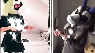 BEST Furry Tik Toks compilation 050 #shorts #furrytiktok #furry #furrycompilation