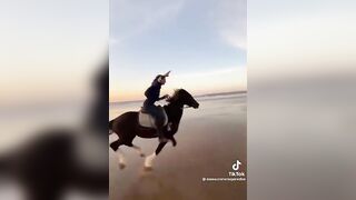 Horse Galloping Free on the beach????????????