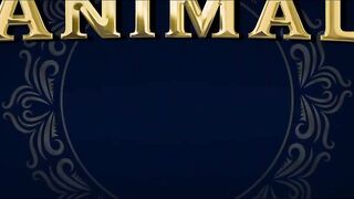 ANIMAL - Official Trailer | Ranbir Kapoor, Anil Kapoor, Rashmika Mandanna | Sandeep R Vanga Updates