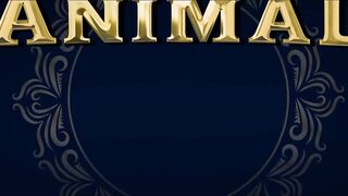 ANIMAL - Official Trailer | Ranbir Kapoor, Anil Kapoor, Rashmika Mandanna | Sandeep R Vanga Updates