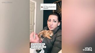 TikTok Users Show Off Their Weird And Exotic Pets Online