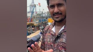 Fishing harbour Vizag watch full video link in the description #fishing #travel #love