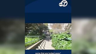 New walking challenge takes on SF's hills one stairway at a time