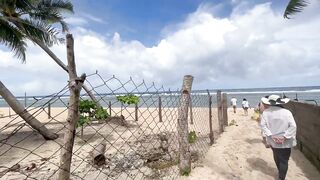 Pacifico Beach Siargao