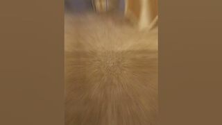 Carpet Re-Stretching In Roseville CA - Before & After