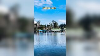 Best Places To Visit In Kodaikanal | Travel Video #kodaikanal #summer #explore #kodaikanaltourism