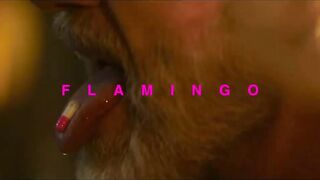 Hotstar Specials Saas Bahu Aur Flamingo | Official Trailer | May 5th | DisneyPlus Hotstar