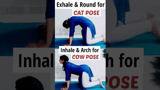 cat & cow pose / #yoga #short #health