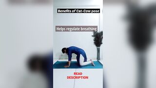 cat & cow pose / #yoga #short #health