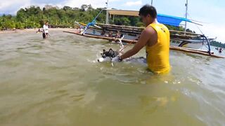 HUSKY GOES TO SWIMMING LESSON I SALAMAN BEACH RESORT BAGAC BATAAN I SWIMMING TIME I HUSKY DOG