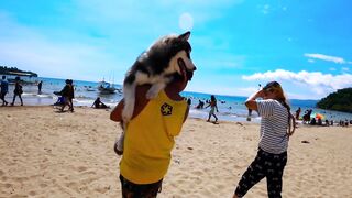 HUSKY GOES TO SWIMMING LESSON I SALAMAN BEACH RESORT BAGAC BATAAN I SWIMMING TIME I HUSKY DOG