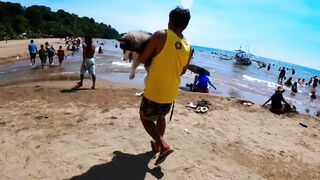 HUSKY GOES TO SWIMMING LESSON I SALAMAN BEACH RESORT BAGAC BATAAN I SWIMMING TIME I HUSKY DOG