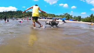 HUSKY GOES TO SWIMMING LESSON I SALAMAN BEACH RESORT BAGAC BATAAN I SWIMMING TIME I HUSKY DOG