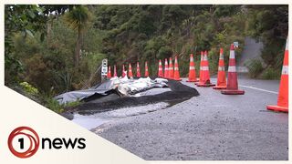 Cordons lifted at Piha Beach after Cyclone Gabrielle damage