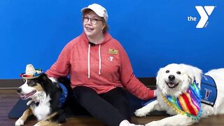 Yoga with Therapy Dogs