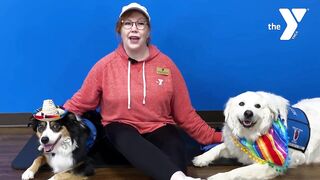 Yoga with Therapy Dogs