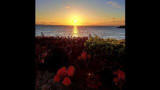 Salt Creek Beach California (01)