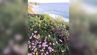 Salt Creek Beach California (01)