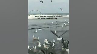 Beautiful_Gulf_Sea_Beach???? #mindfresh #beach #birds #relaxing #viral #shorts