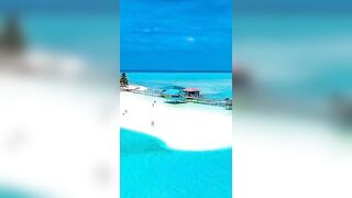 #shortvideo #viralshortvideo White Sand Beach | FOODS