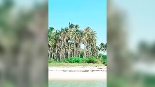 #shortvideo #viralshortvideo White Sand Beach | FOODS