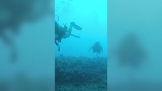 Freediving with their girlfriends in yellow bikinis.