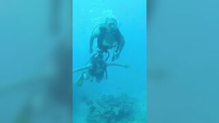 Freediving with their girlfriends in yellow bikinis.