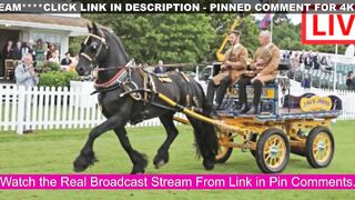 ????ROYAL WINDSOR HORSE SHOW Live Stream | ROYAL WINDSOR HORSE FULL SHOW