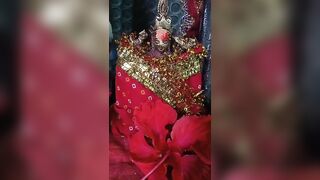 Jai maa durga #instagram #shortsfeed#viral#india #ipl2023#trending #religious#durgamata #shortbreak