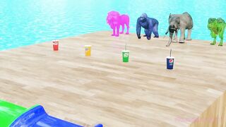 Choose Right Drink with Elephant Gorilla Cow Lion Dinosaur Wild Animals Games Fountain Crossing Game