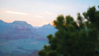 Grand Canyon (west rim) USA must before you travel cinematic shots #viral #travel #grandcanyon #usa