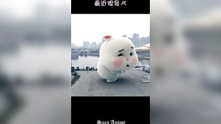 Super Cute Fat Rabbit - Cute Fat Rabbit Compilation #16