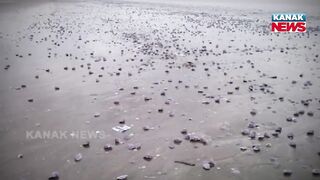 Special Report: Mysterious Sea Beach Of Chandipur, Scientists Still Looking For Clue