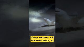 Shark Sighting in Miramar Beach, FL #✌????Catch & Release Always???? #livingnearnashville