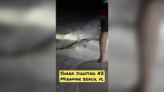 Shark Sighting in Miramar Beach, FL #✌????Catch & Release Always???? #livingnearnashville