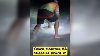 Shark Sighting in Miramar Beach, FL #✌????Catch & Release Always???? #livingnearnashville