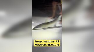 Shark Sighting in Miramar Beach, FL #✌????Catch & Release Always???? #livingnearnashville