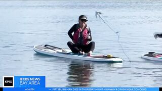 Paddleboard yoga: Half Lord of the Fishes with real fishes