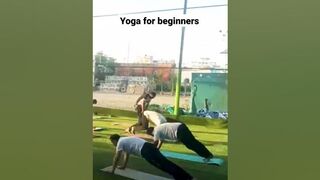 easy and effective yoga for beginners