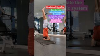 Headstand benefits #headstand #headstandbenefits #benefits #yogabenefits #yoga #shorts