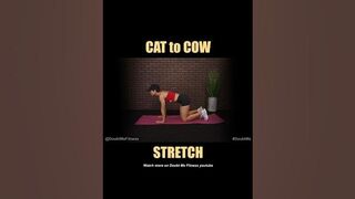 How to do Cat to Cow Stretch [ Tutorial ] #workout #workingout #stretching