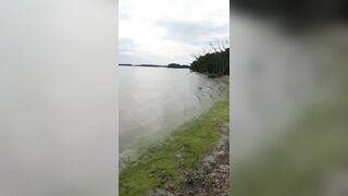 Beautiful Beach Campsite (Florida Everglades)