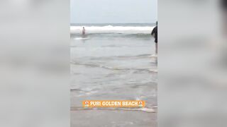 Puri Golden Beach✨#puri #puribeach #beach #shorts #trending #viral #travel #shortsvideo #goldenbeach