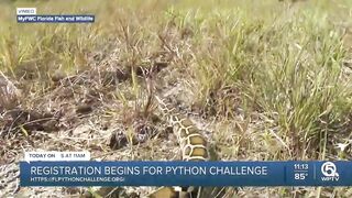 Registration begins for Florida's 2023 Python Challenge