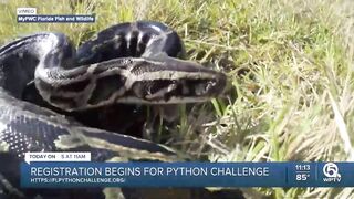 Registration begins for Florida's 2023 Python Challenge