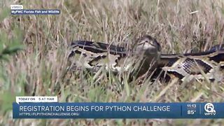 Registration begins for Florida's 2023 Python Challenge