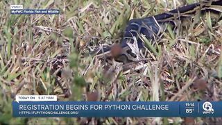 Registration begins for Florida's 2023 Python Challenge